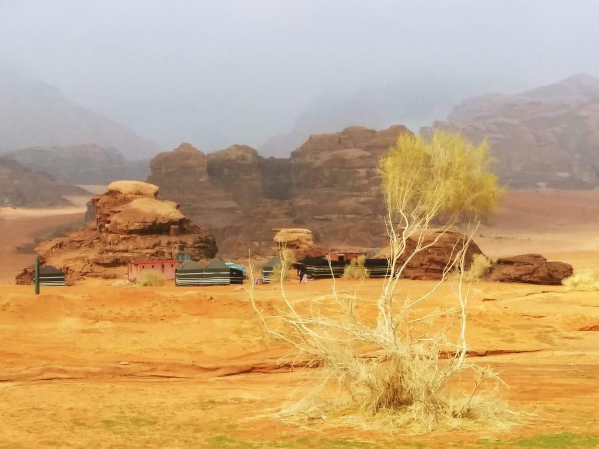 Bedouin Culture Camp 瓦迪拉姆 外观 照片